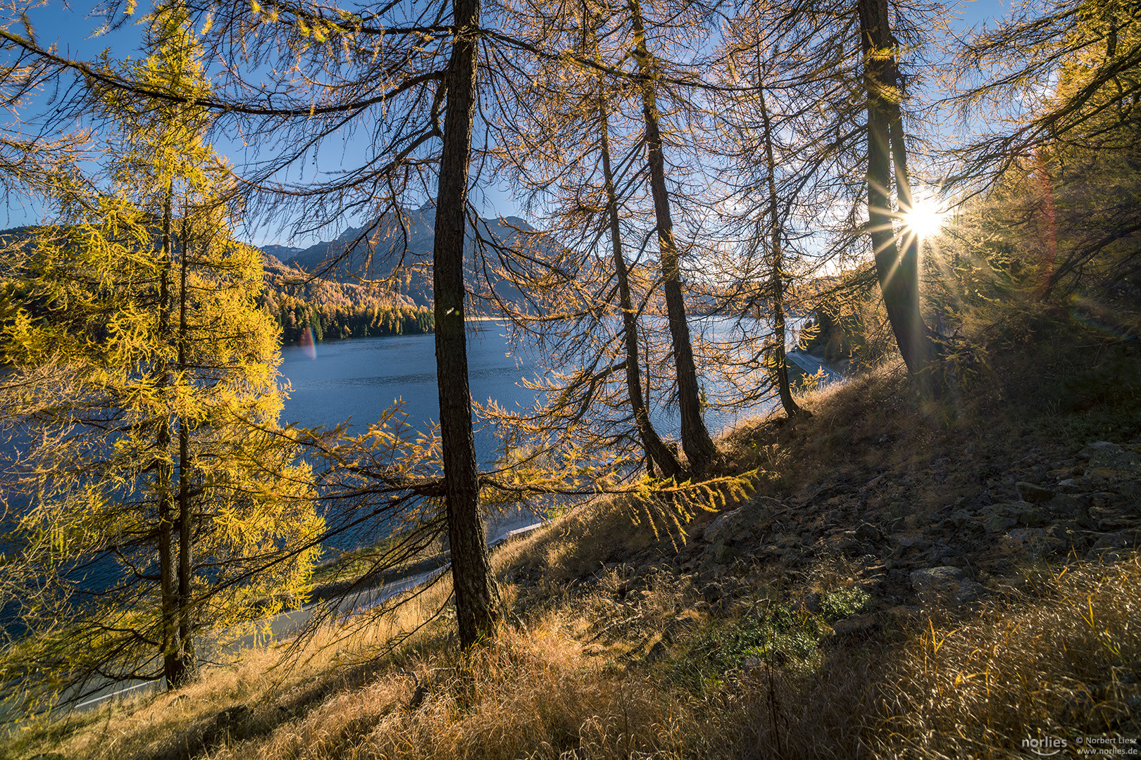 sunny view to lake sils