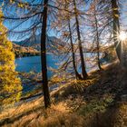 sunny view to lake sils