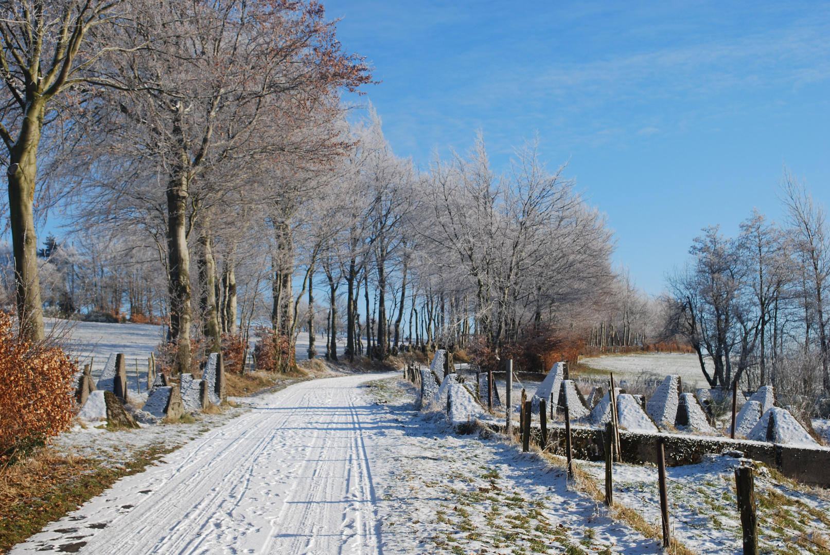 sunny winter day