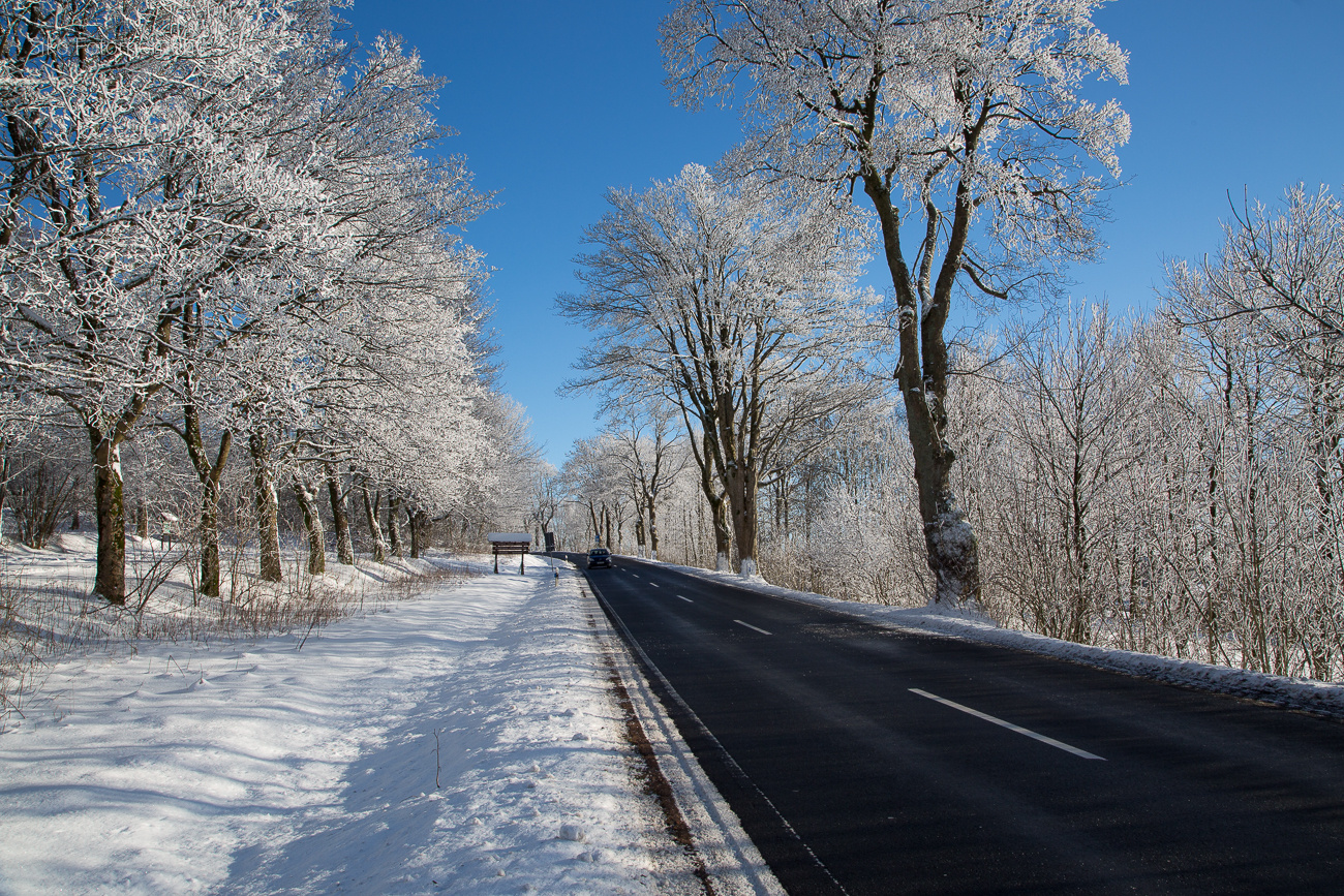 sunny winter day