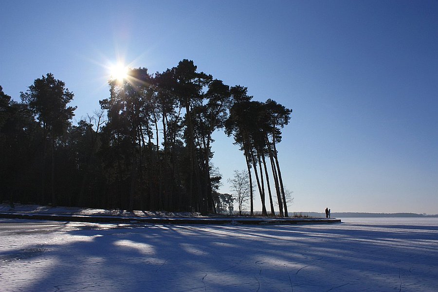 Sunny winter day on the lake