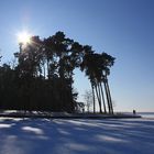 Sunny winter day on the lake