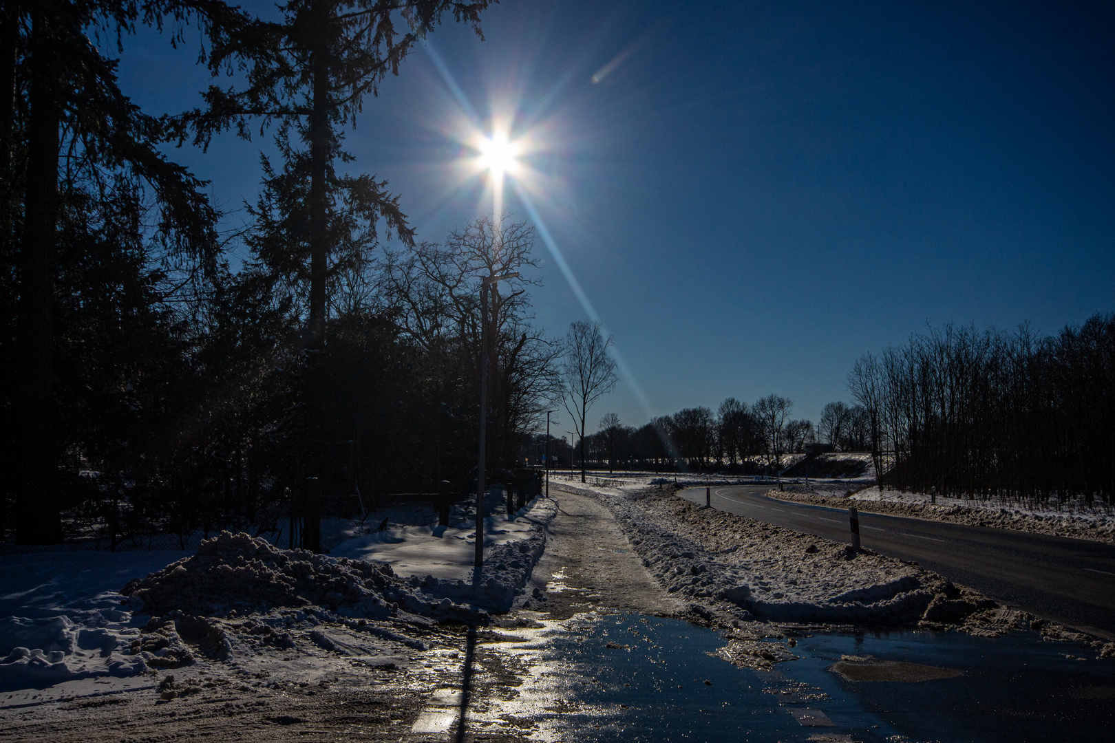 Sunny Winterday