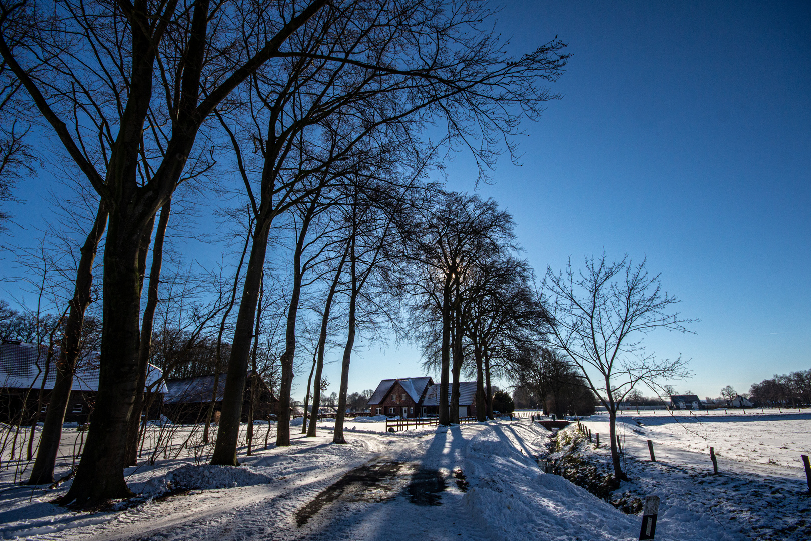 Sunny Winterday