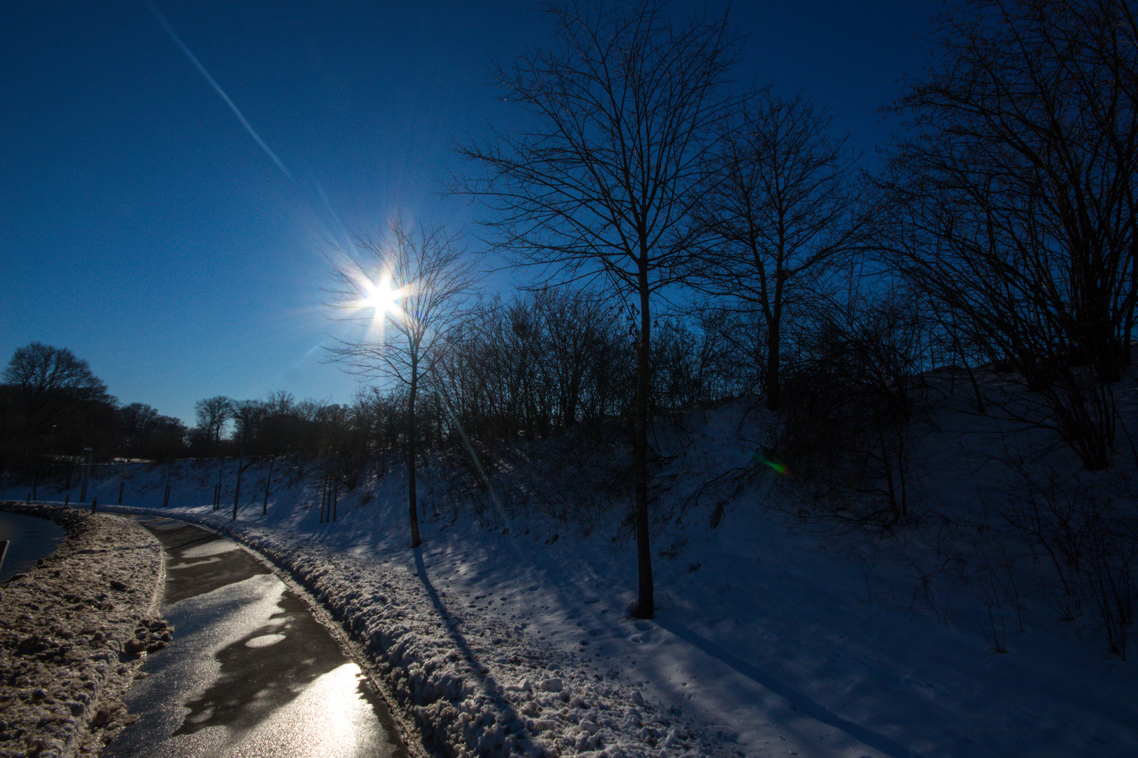 Sunny Winterday