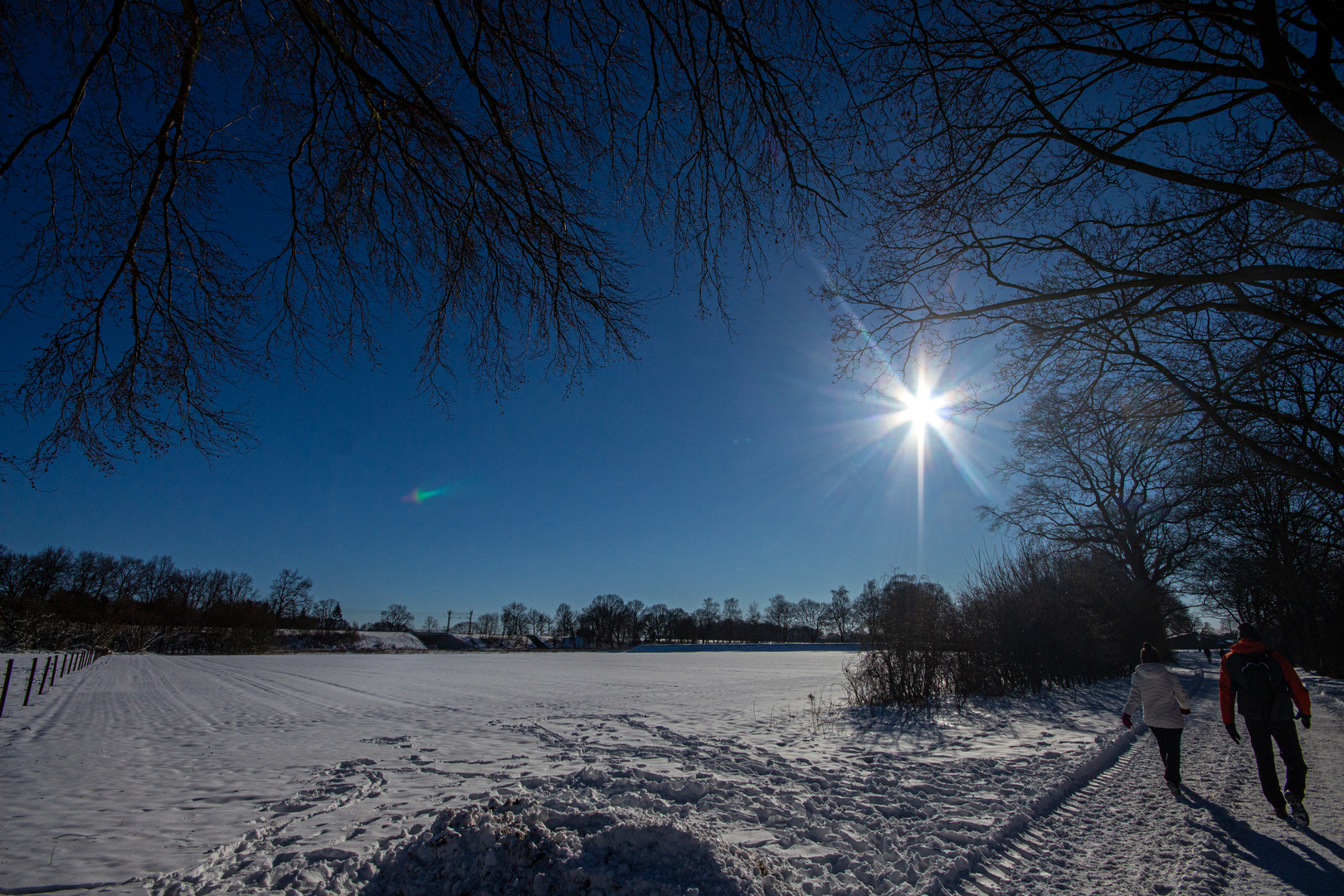 Sunny Winterday