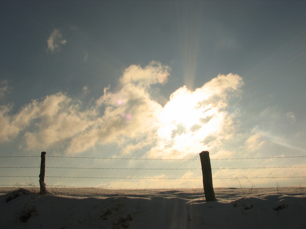 sunny winterday