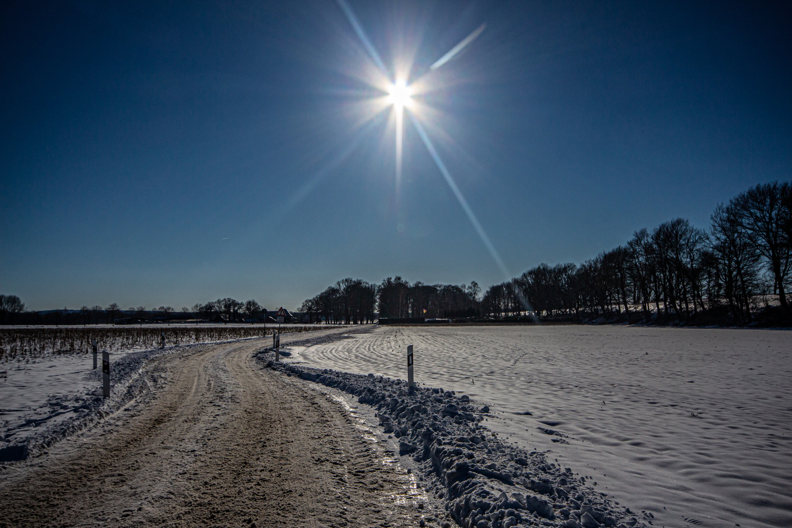 Sunny Winterday