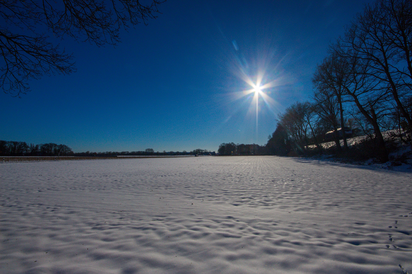 Sunny Winterday