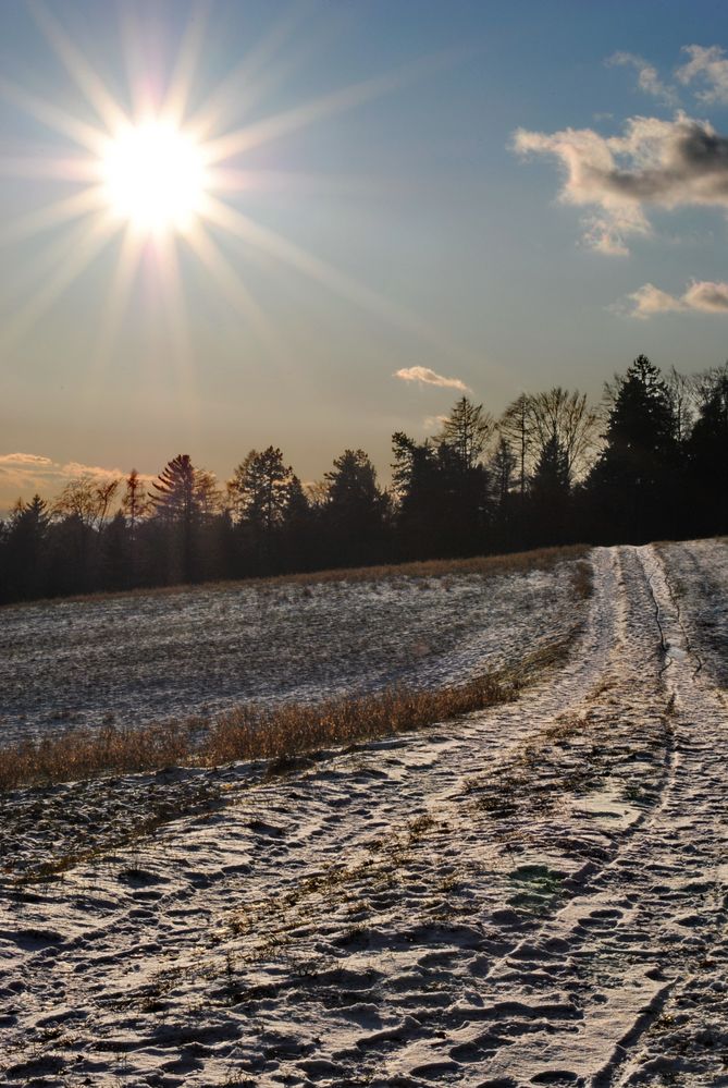 Sunny Winterdays