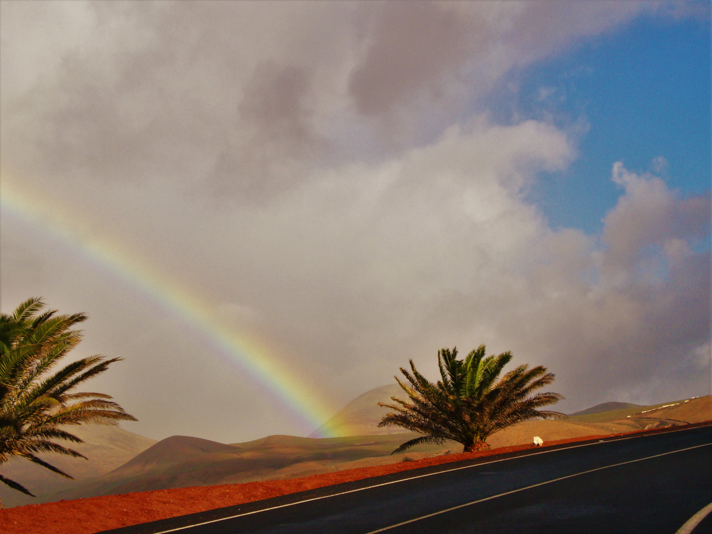 Sunnyrain Lanzarote