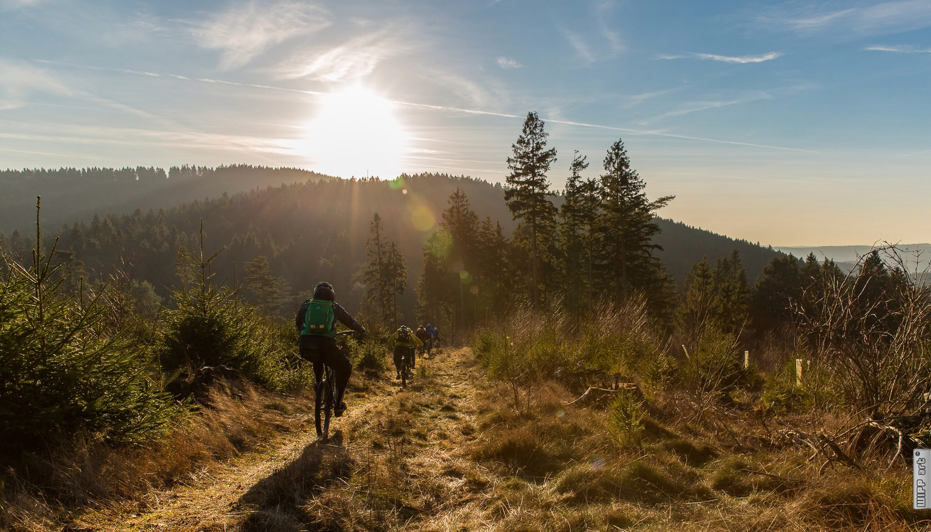 sunny.trailride