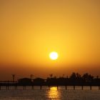 Sunrice at Red Sea