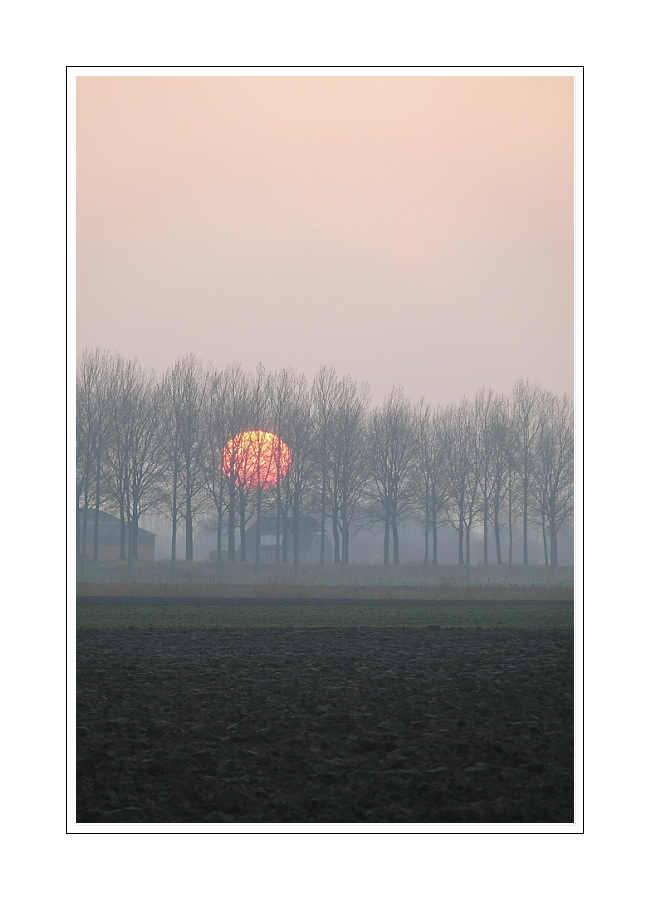 Sunrise 02.01.08 (Zeeuws-Vlaanderen)