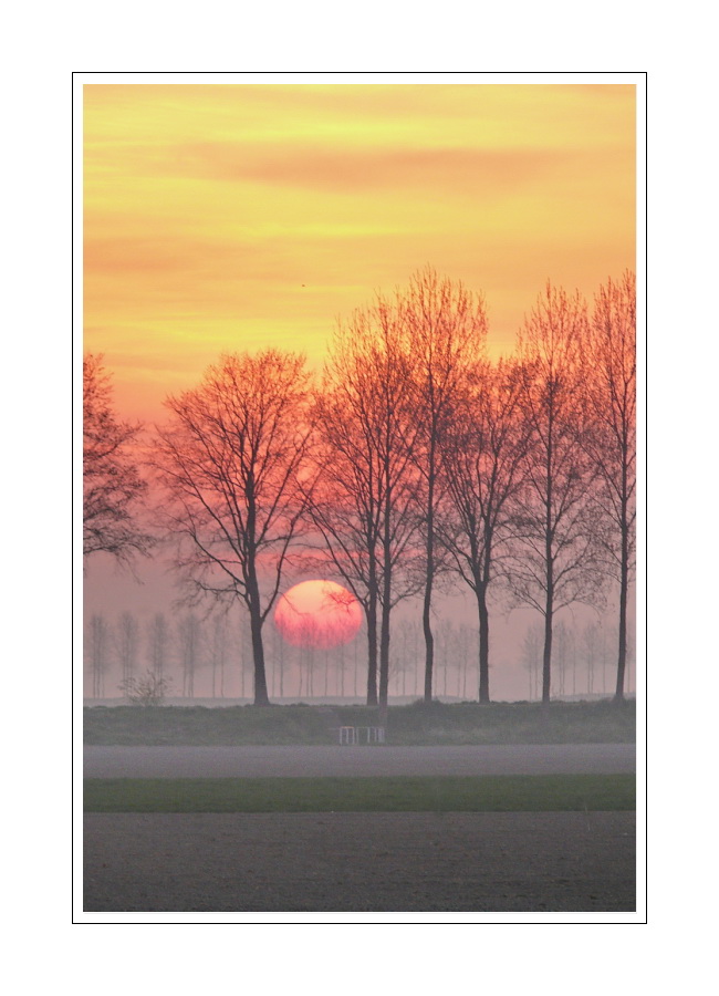 Sunrise (14.04.2007, 6:58) Zeeuws-Vlaanderen