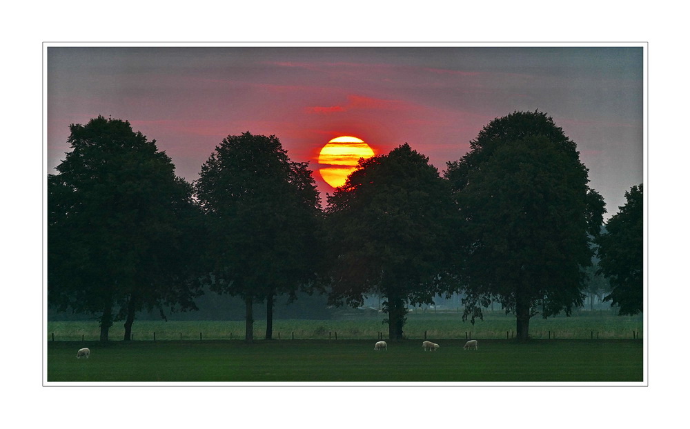 Sunrise (6:23:45) 02.08,2014 (IJzendijke)