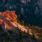 sunrise - a magic moment at the bryce canyon