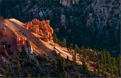 sunrise - a magic moment at the bryce canyon