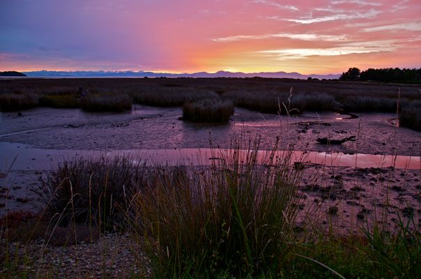 Sunrise - Abel Tasman II
