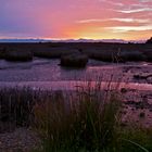 Sunrise - Abel Tasman II