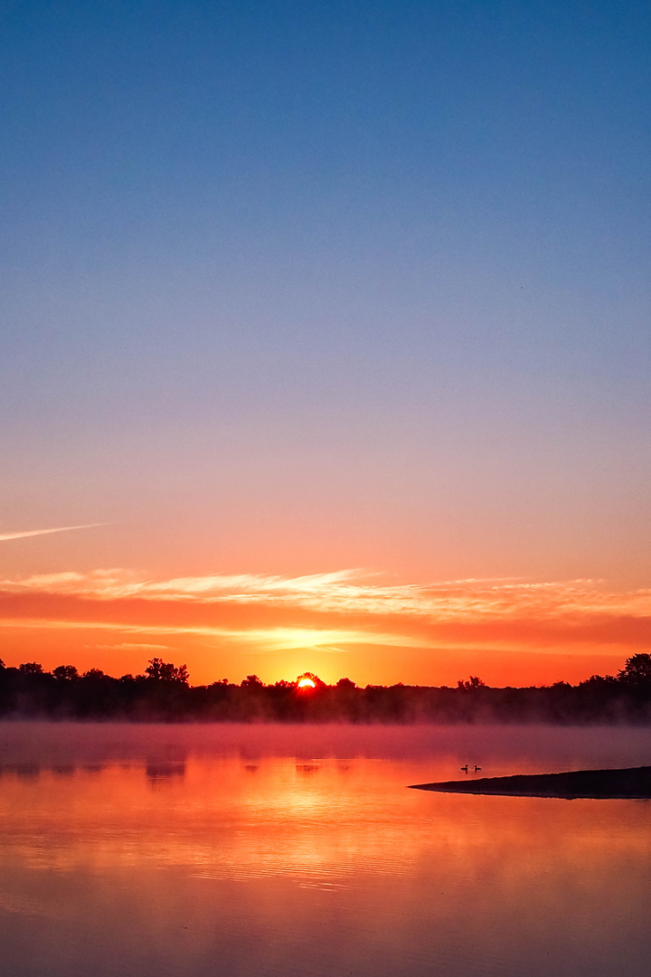 Sunrise am Altrhein