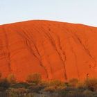 Sunrise am Ayres Rock