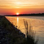 sunrise am Elbeseitenkanal 