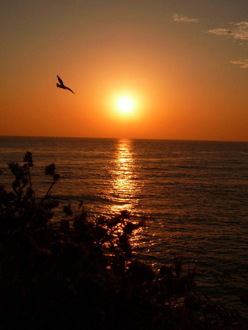 Sunrise am Ocean Beach in San Diego