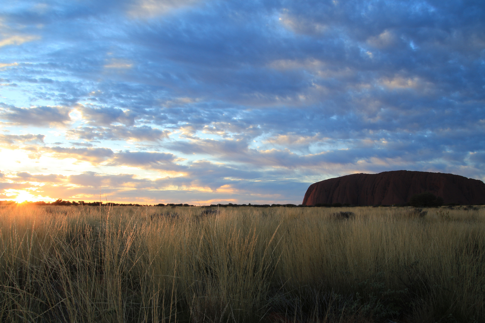 Sunrise am Uluru