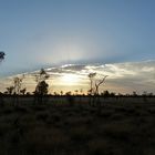 Sunrise am Uluru (Ayers Rock), Australien