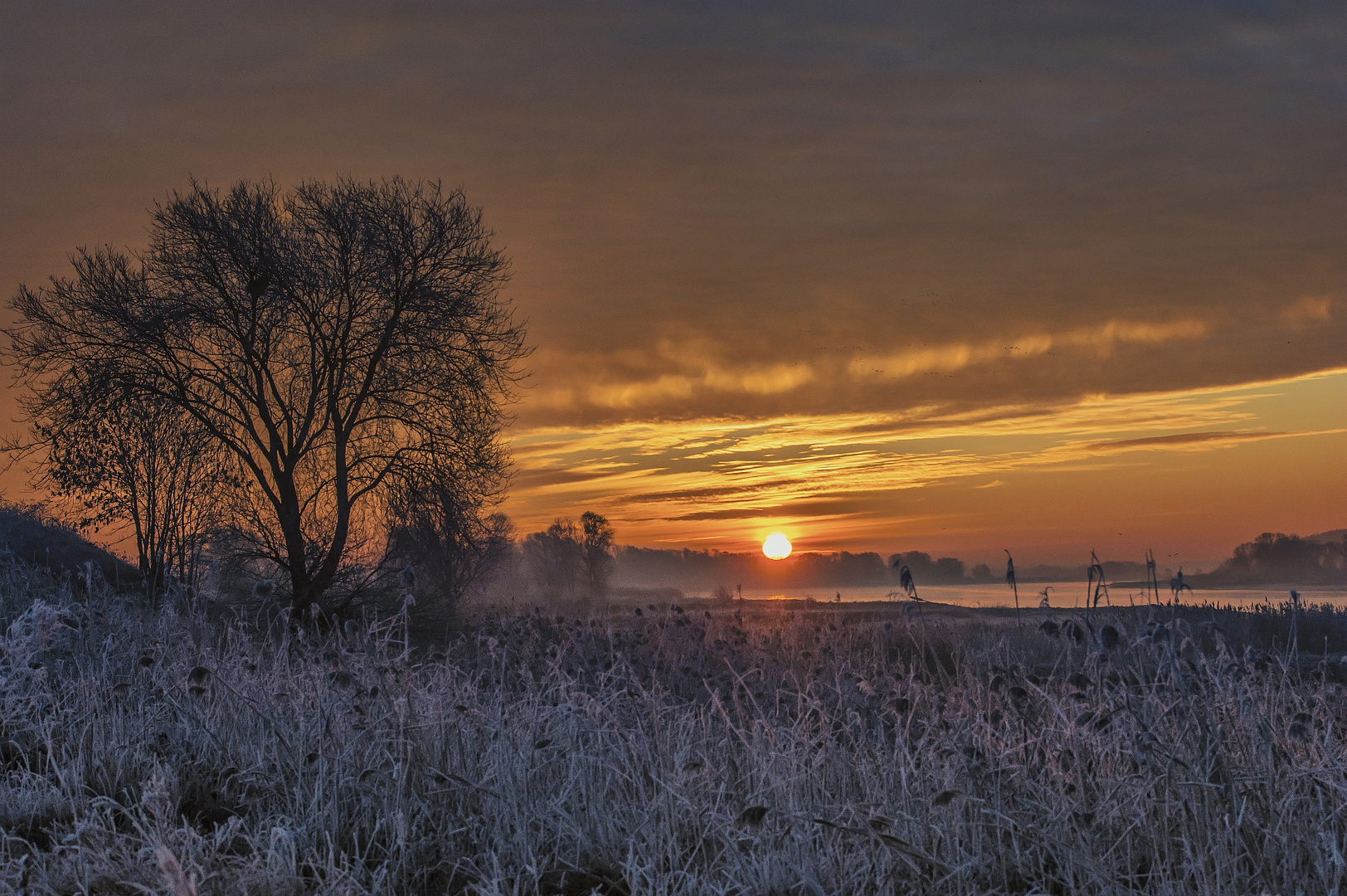 Sunrise an der Elbe