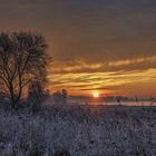 Sunrise an der Elbe