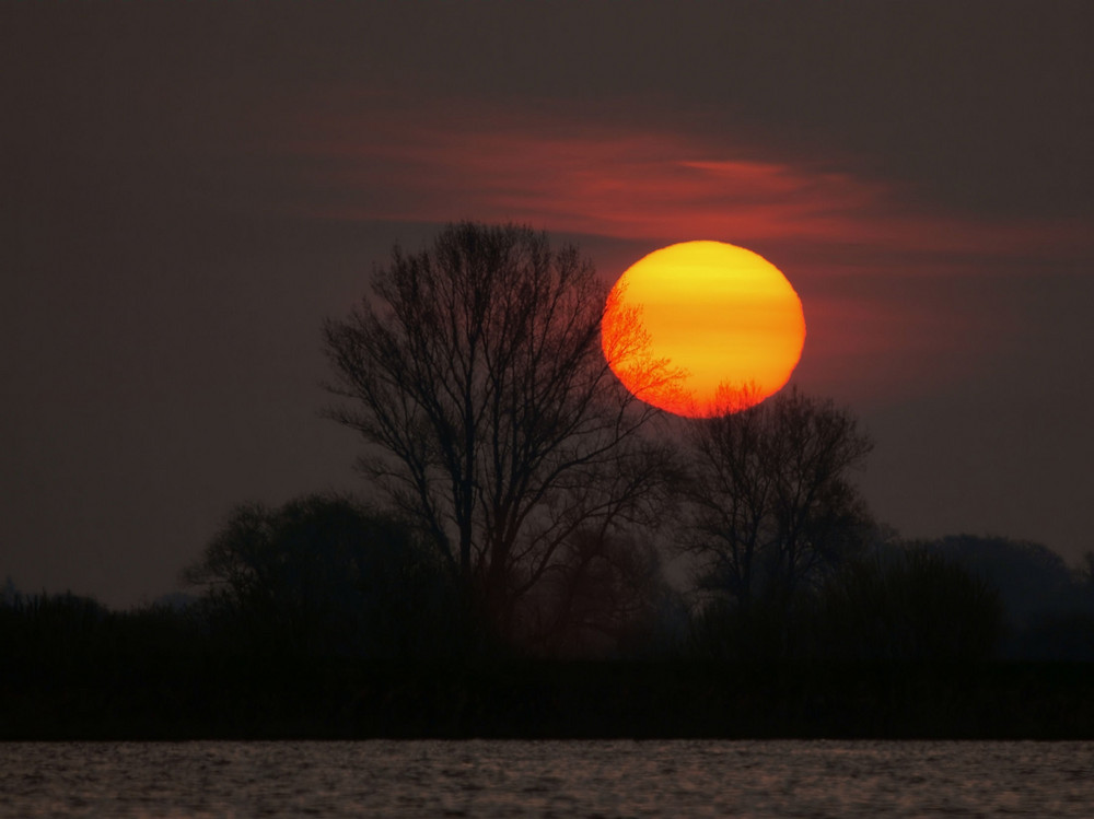 Sunrise an der Elbe