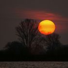 Sunrise an der Elbe