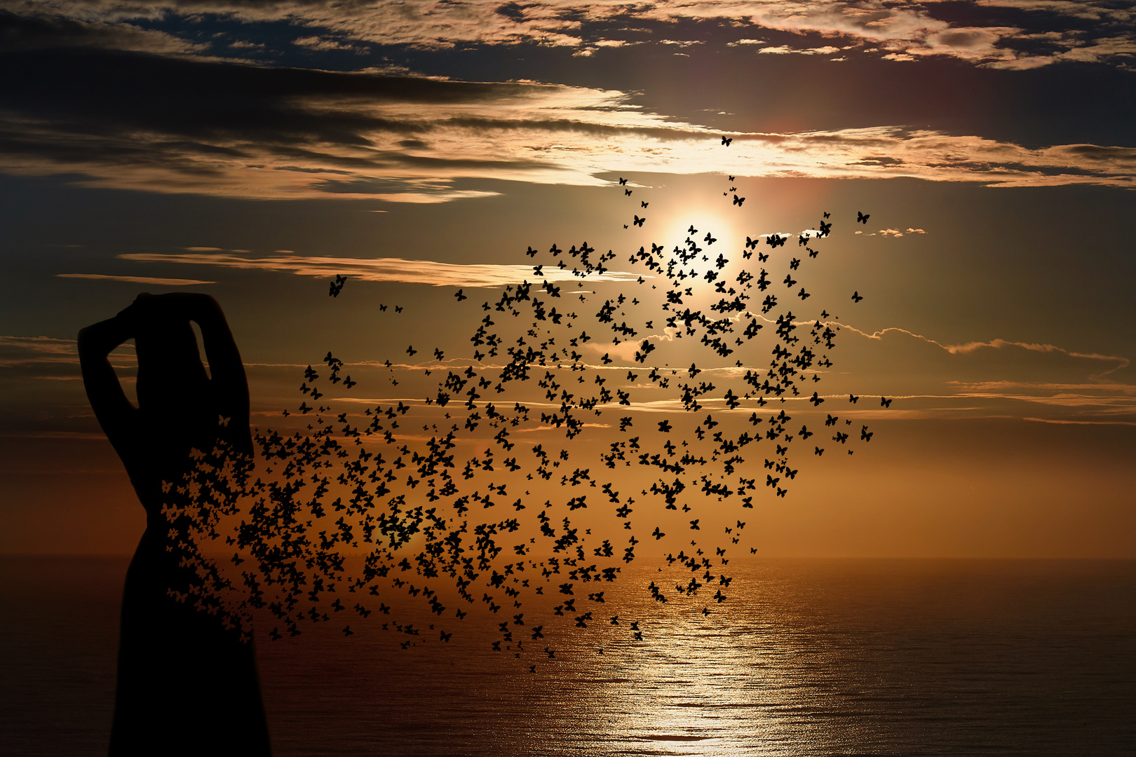 Sunrise and Butterflies