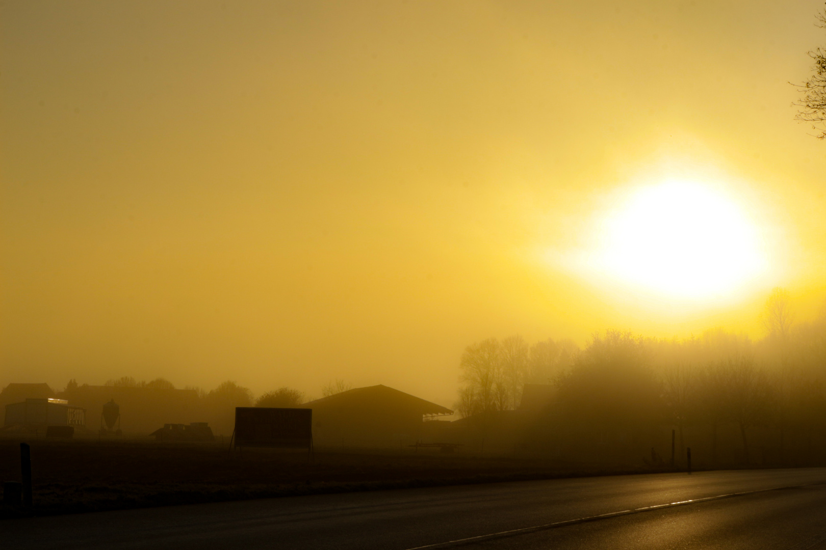 Sunrise And Fog