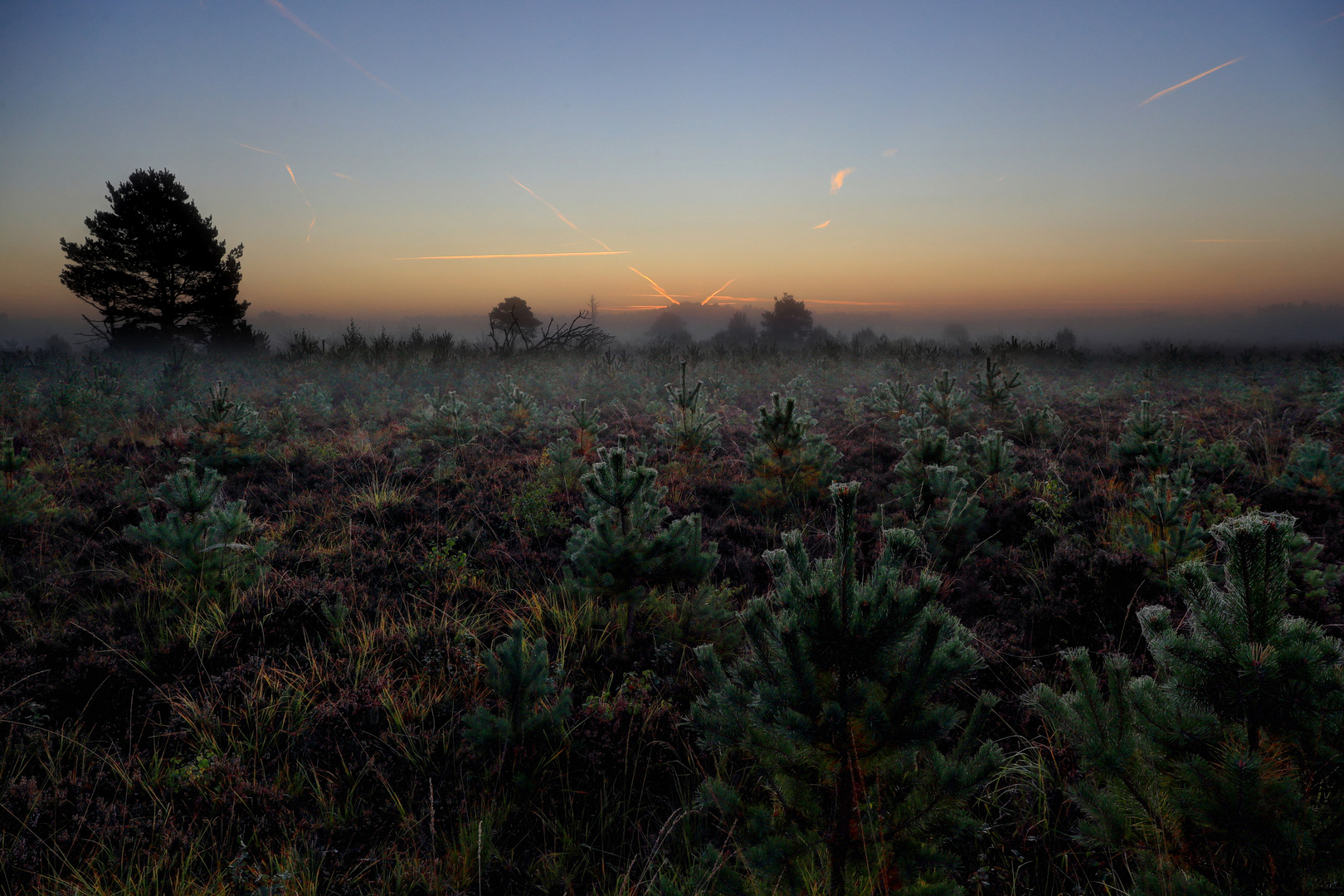 sunrise and fog 