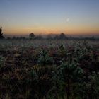 sunrise and fog 