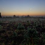 sunrise and fog 