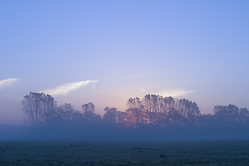 Sunrise and Fog over Meadows I