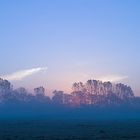 Sunrise and Fog over Meadows I