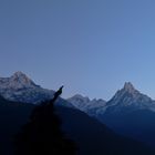 SUNRISE - Annapura South and Machhapuchhre