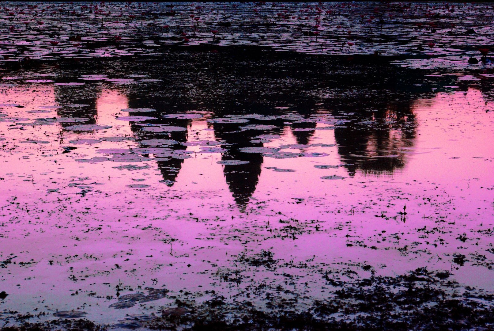 Sunrise at Angkor Wat