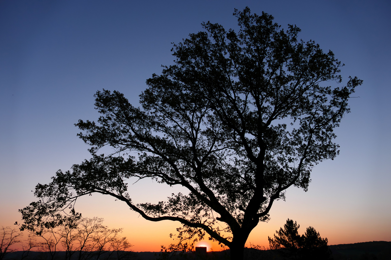 Sunrise at Blankenstein