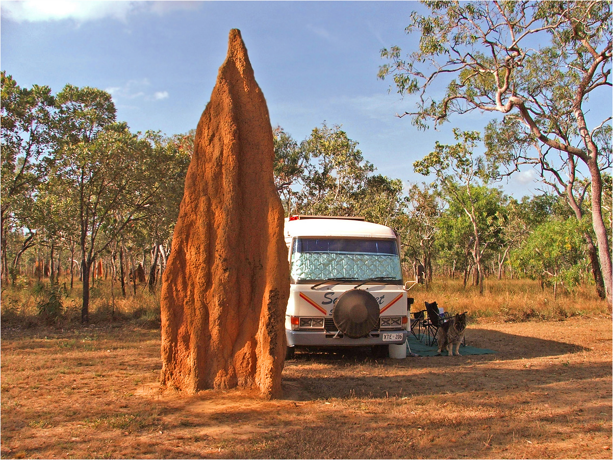 **Sunrise at Bramwell Junction ** Foto & Bild australia, world
