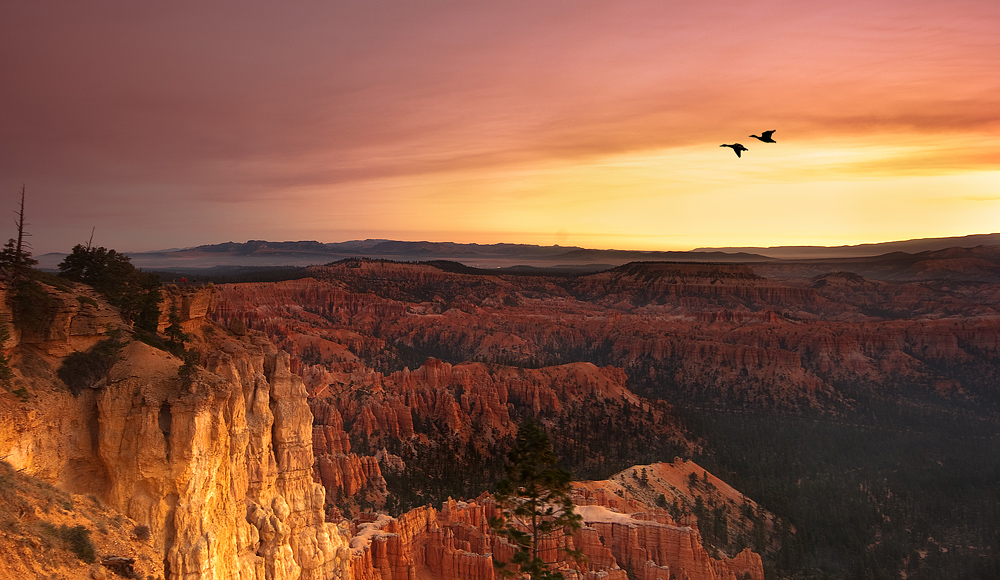 Sunrise at Bryce