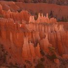 Sunrise at Bryce Canyon