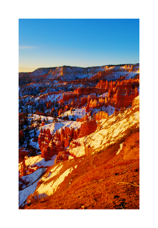 Sunrise at Bryce Canyon III