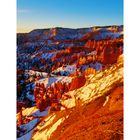 Sunrise at Bryce Canyon III