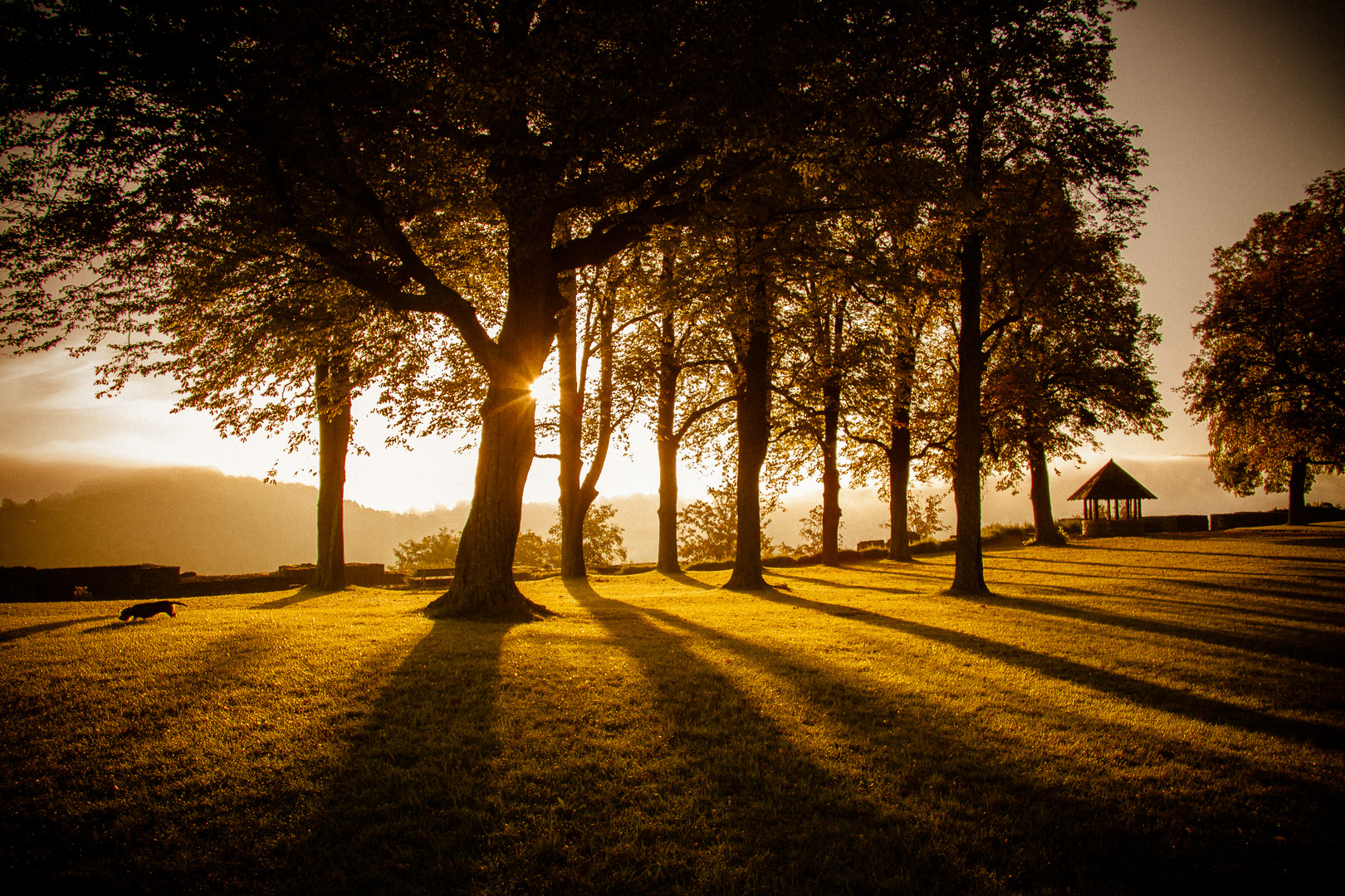 sunrise at castle ruins Arnsberg